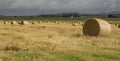 Hay Bales, Atherton Tableland